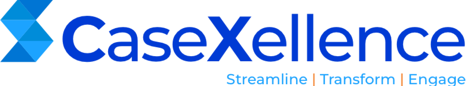 government case management system