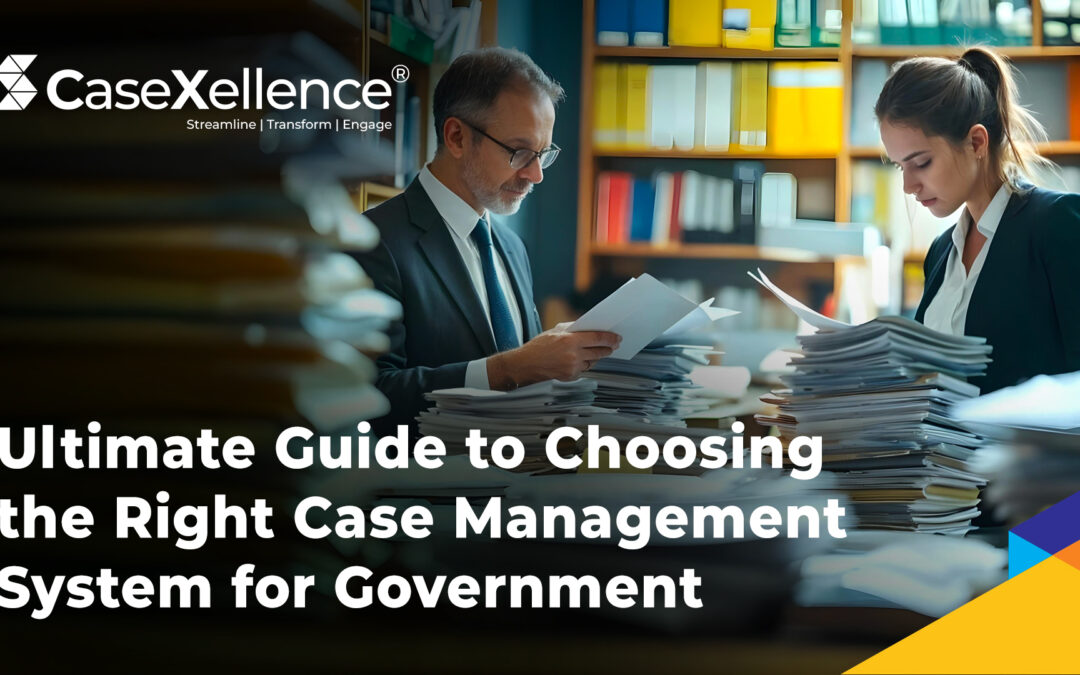 case management system for government